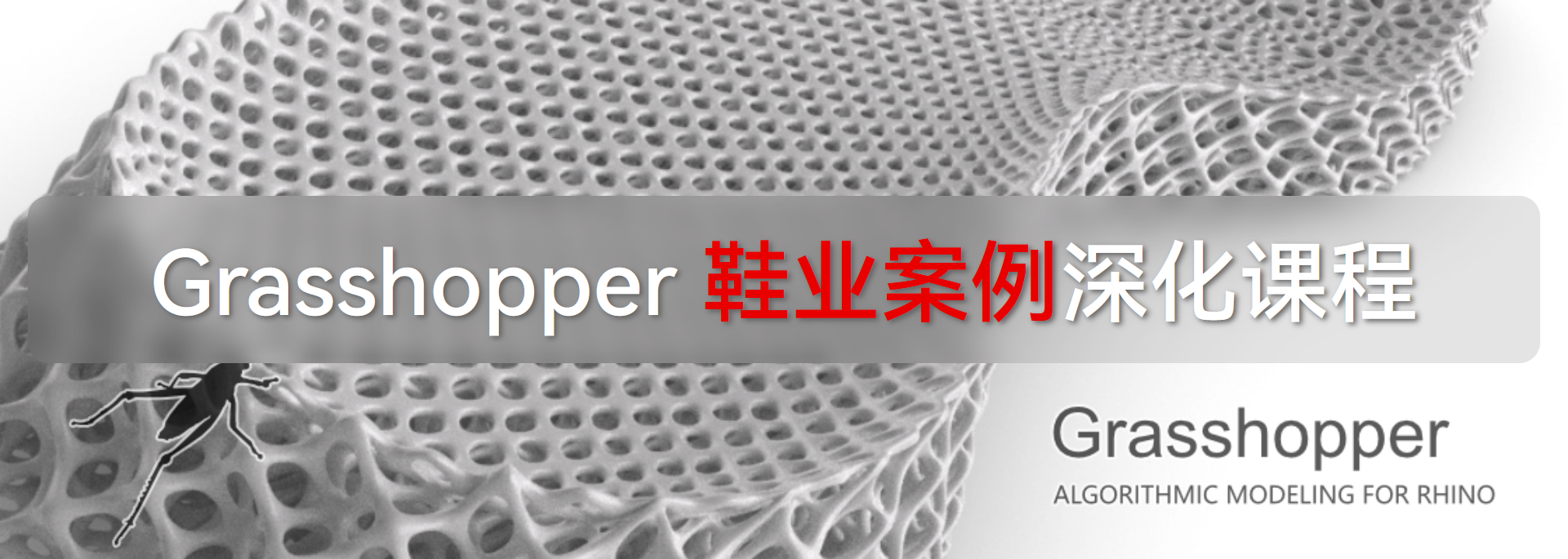 GH 参数化鞋履案例深化课程